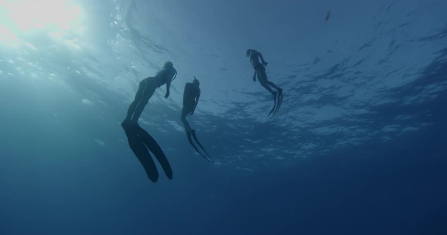 Three female snorkelers ascend to the ocean's surface