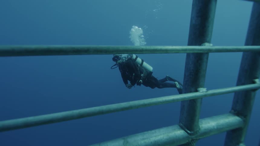 A diver swims near a shark cage in the ocean