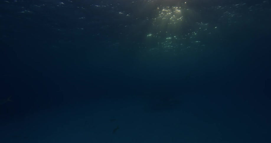 Light shining in dim blue water