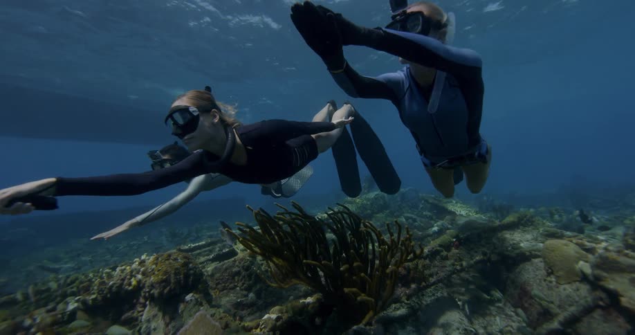 Divers wearing fins swim over rocks