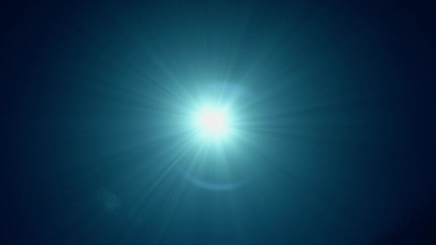 Sunlight streams through water as a shark swims by
