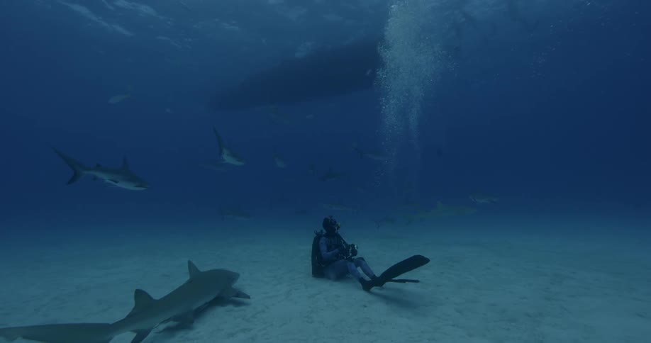 A scuba diver sits on the ocean floor