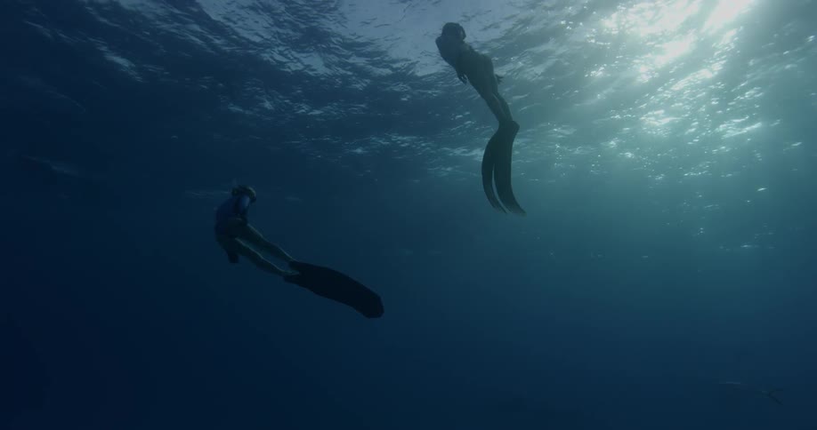 Two divers swim underwater on a sunny day