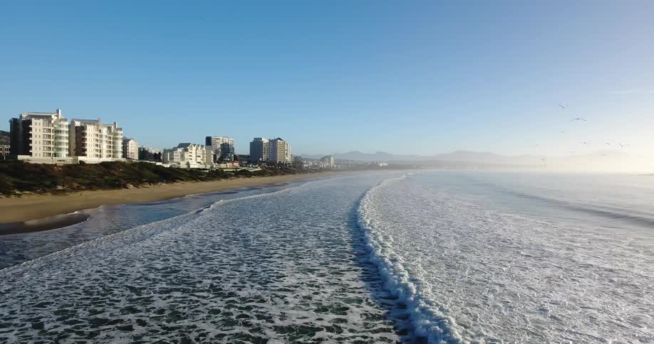Seagulls fly over ocean waves coming to shore