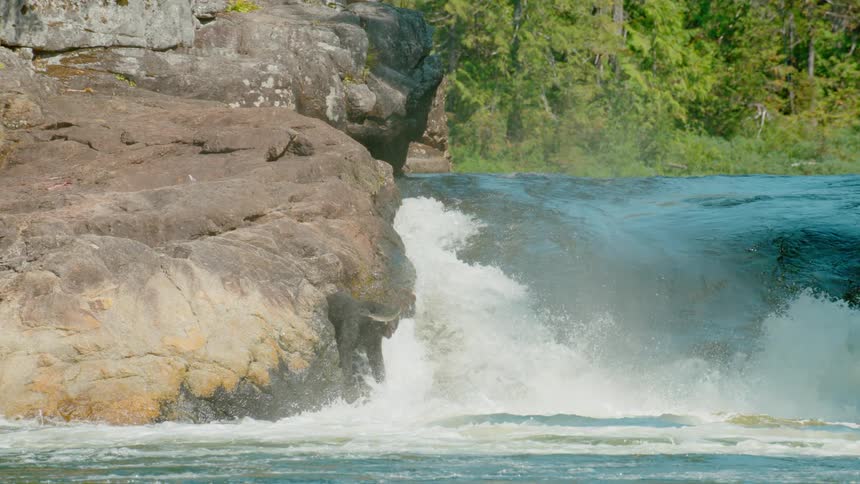 A fish jumps in a gushing river