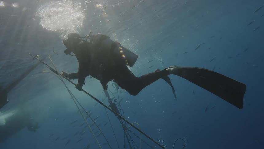 Diver holds a long pole and swims in the water