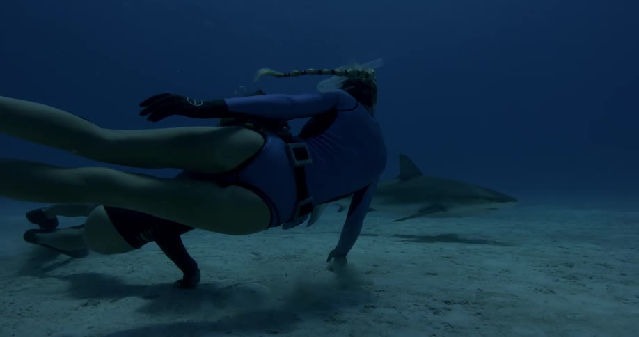 People snorkeling near a shark