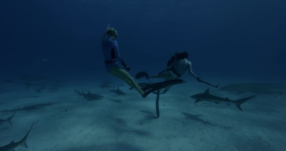 Female divers swim near sharks in the ocean
