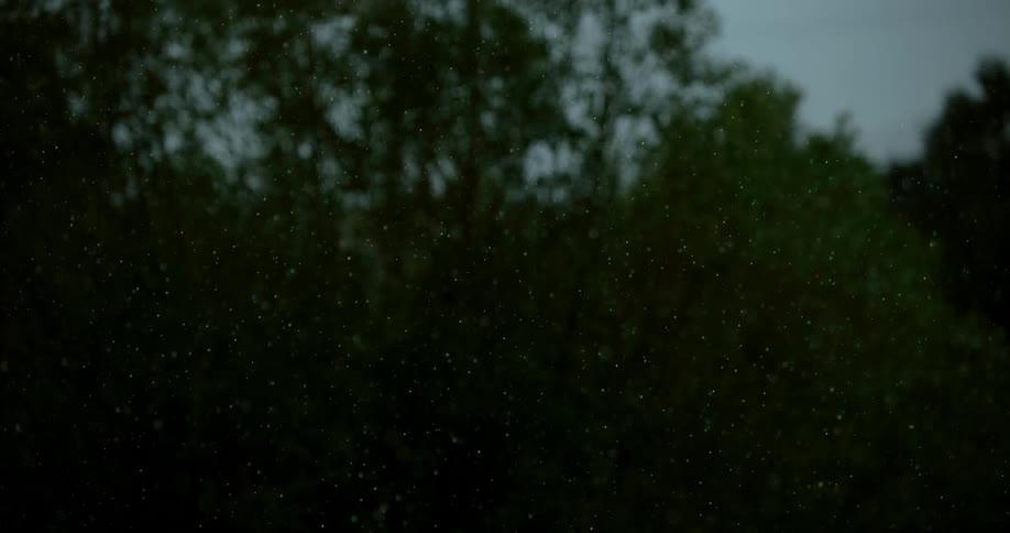 Blurry view of trees and snow falling