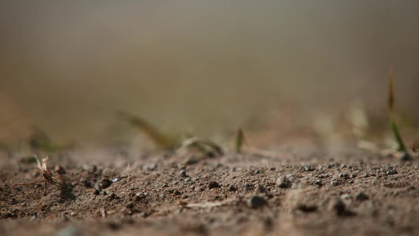 A drop of water falls into dry dirt during the day