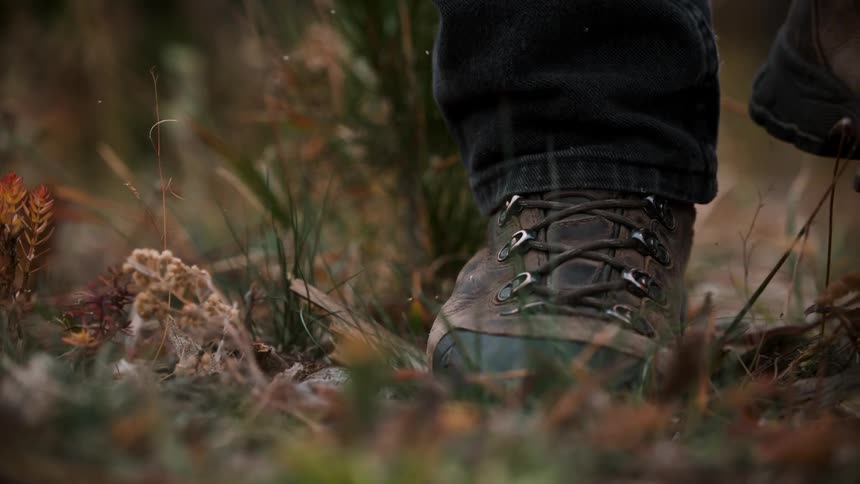 Person stepping on the grass in nature