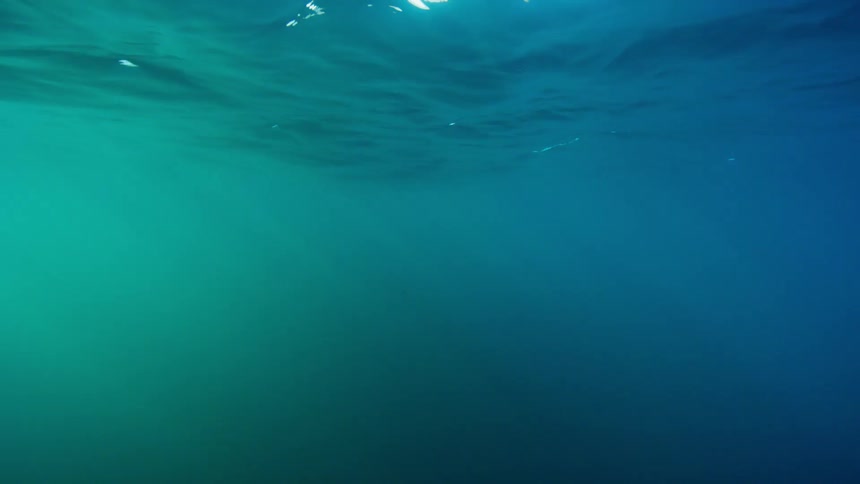 Sunlight and waves on the ocean's surface