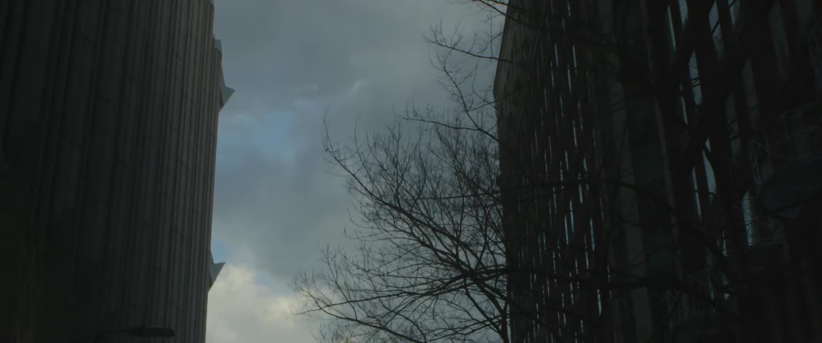 Trees and tall buildings line a city street