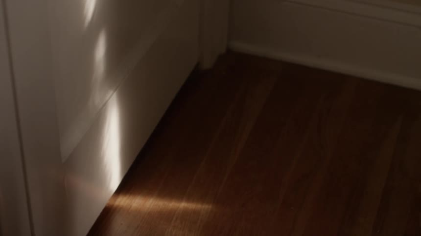 Sunlight shines on a wooden floor and a closed door