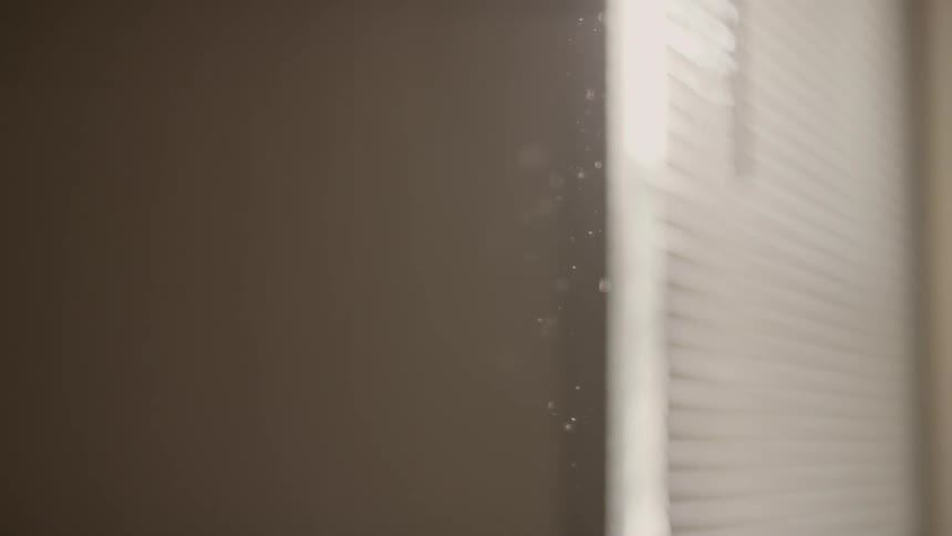 Dust flies in front of white shutters in a window