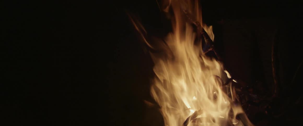 Close up of a campfire burning at night