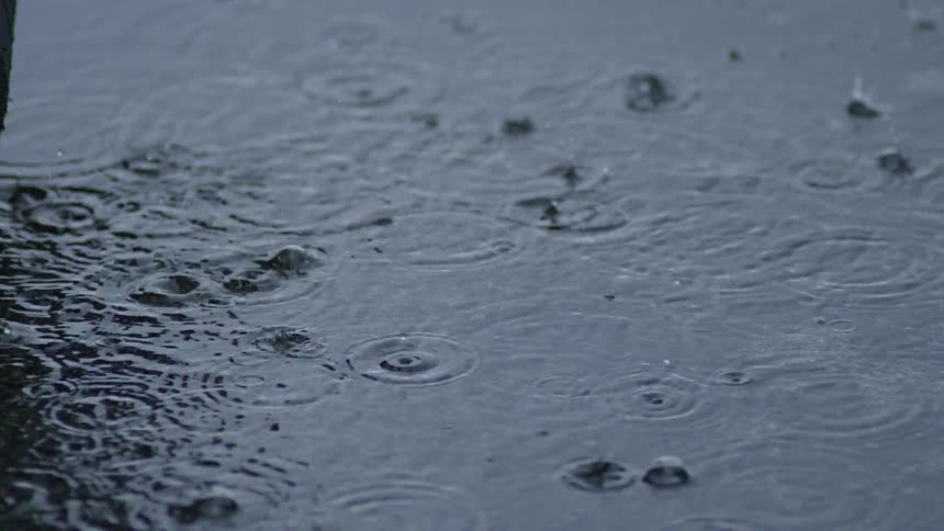 Rain drops into a standing puddle