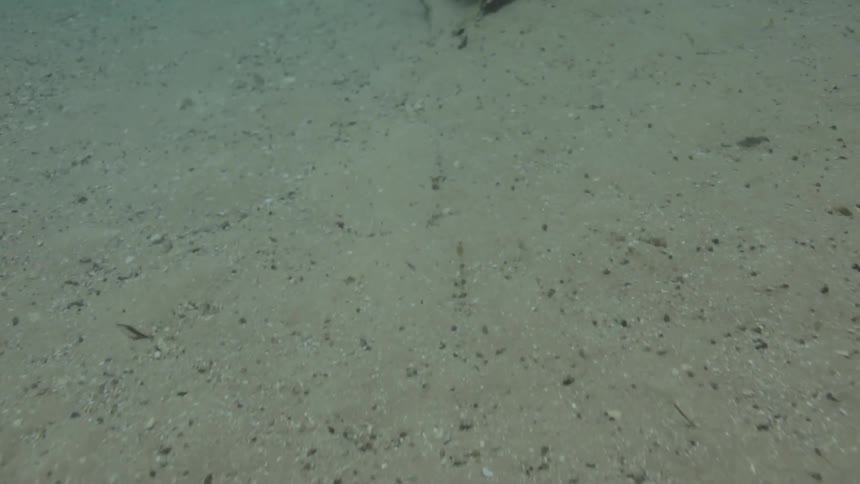A shot of the ocean floor in very clear water