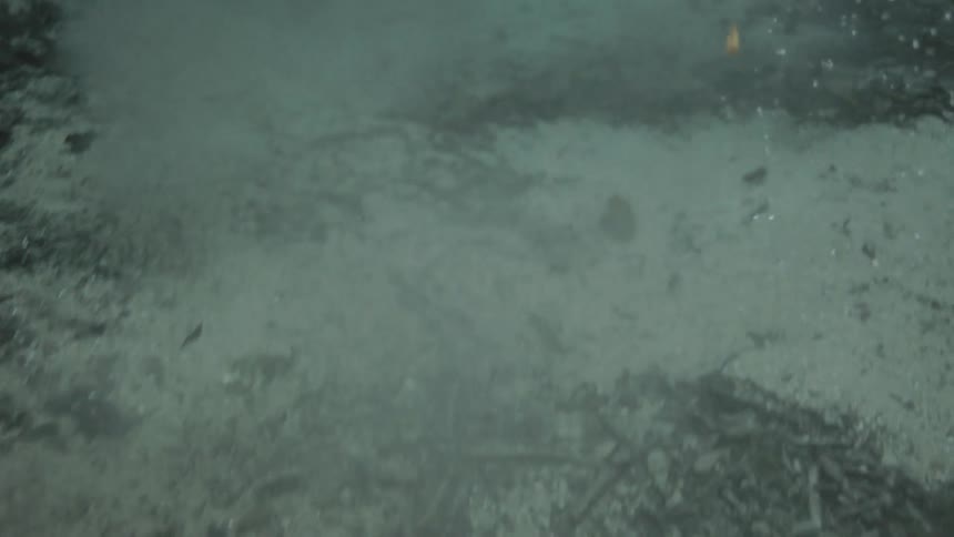 View underwater with people diving and the ground moving