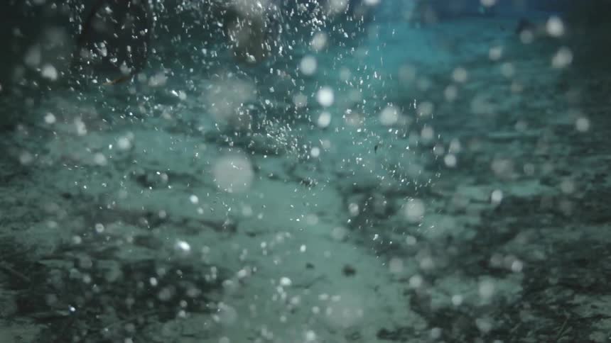Underwater view of people swimming wearing flippers