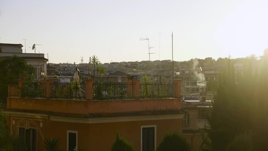 View of a rooftop garden on a sunny day