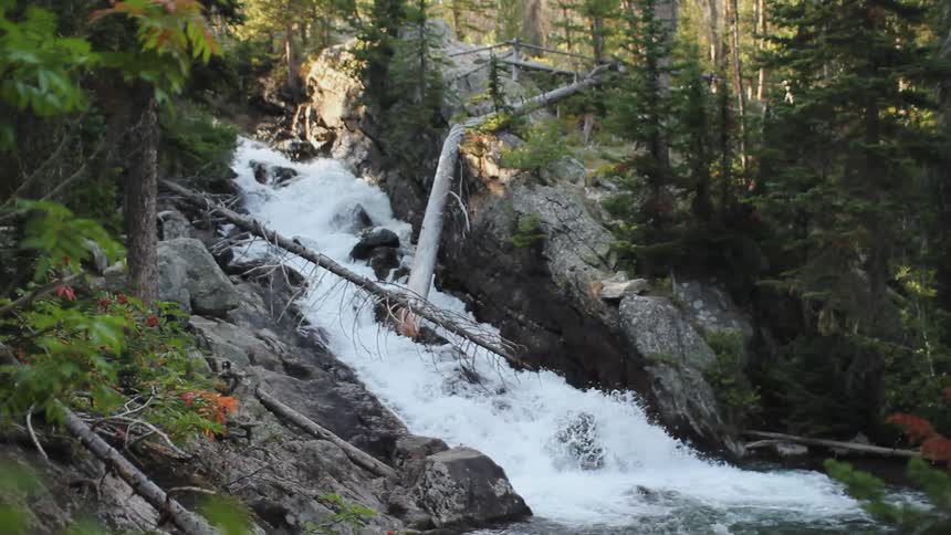 River flows through rocky terrain in the woods