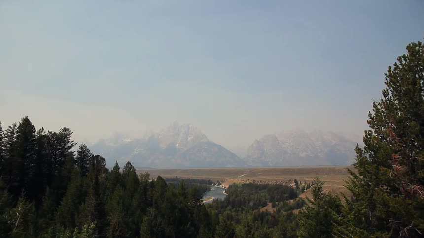 Trees and rocky mountains on a sunny day