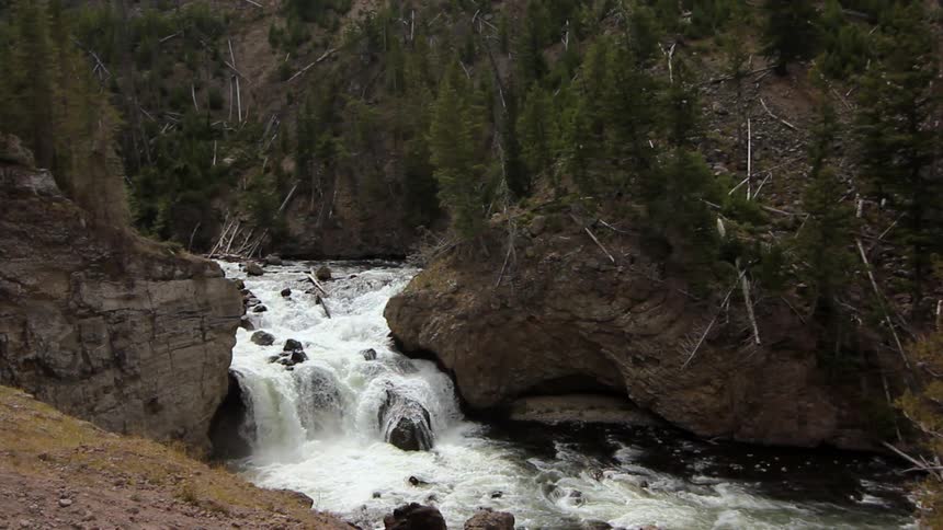 The stream is rough with water crashing over the rocks