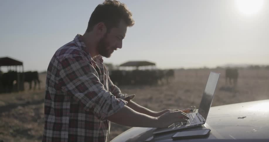 A man uses his laptop on the hood of his truck