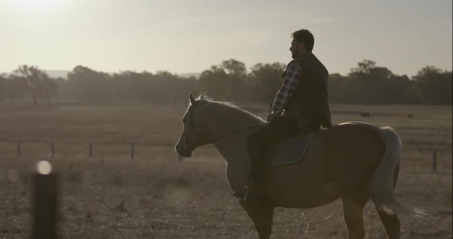 A man rides a horse in a rural field