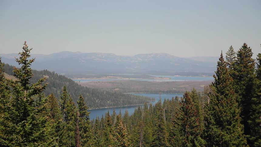View looking through trees at a river and hills