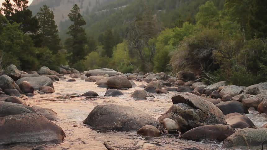 Water flowing through rock in the woods
