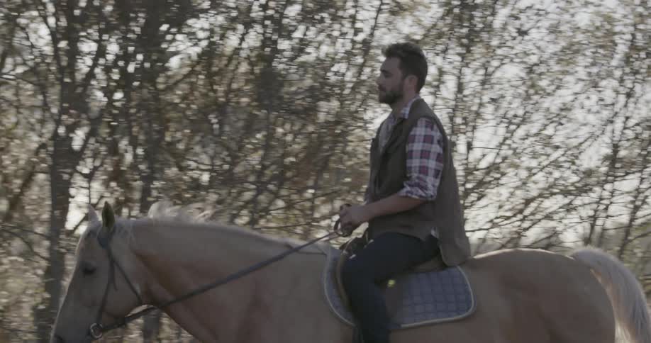A man is riding his horse past some trees