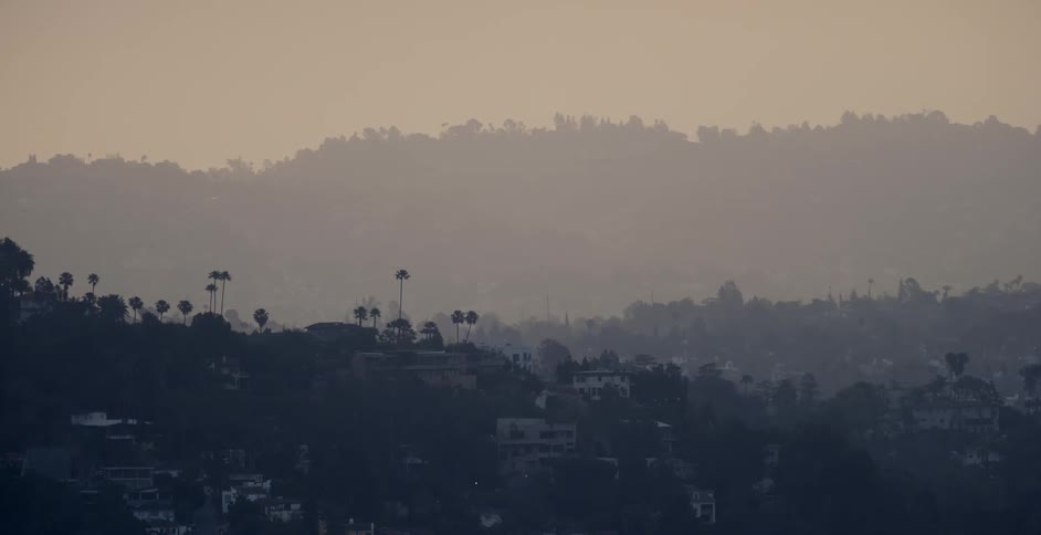 View of trees and buildings at sunrise
