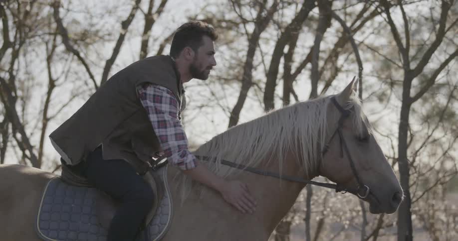 Man sitting on a horse in the woods