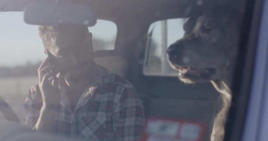 Man sitting in a truck talking on a phone and petting a dog