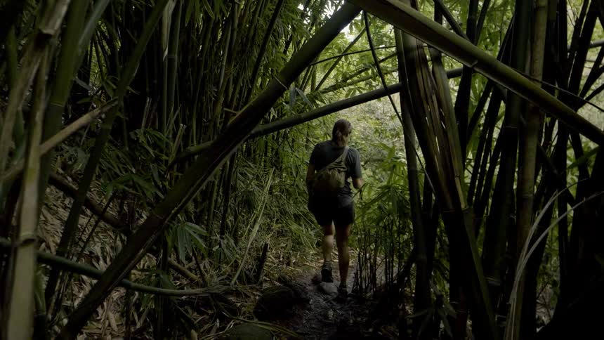 A woman wearing a backpack and carrying a hiking stick walks a trail