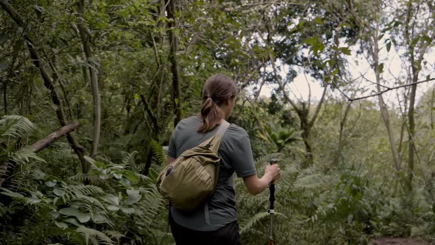 Woman walking through the woods with a hiking stick