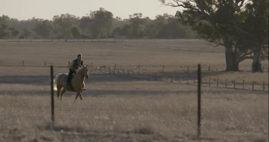 A man rides a horse on a ranch