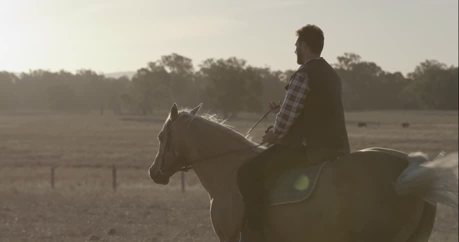 Man sitting on a horse looks across a field