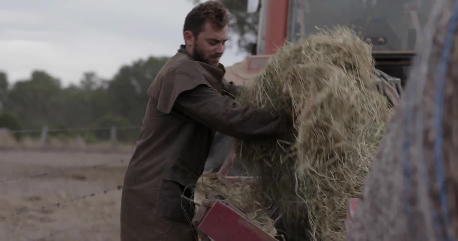Man picking up a pile of hay and throwing it over a fence
