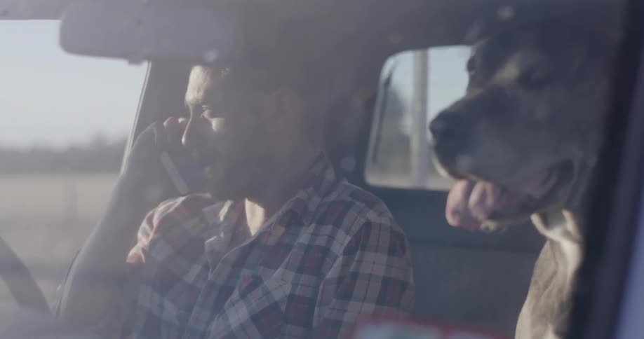 A man talks on his phone with his dog sitting in the next seat