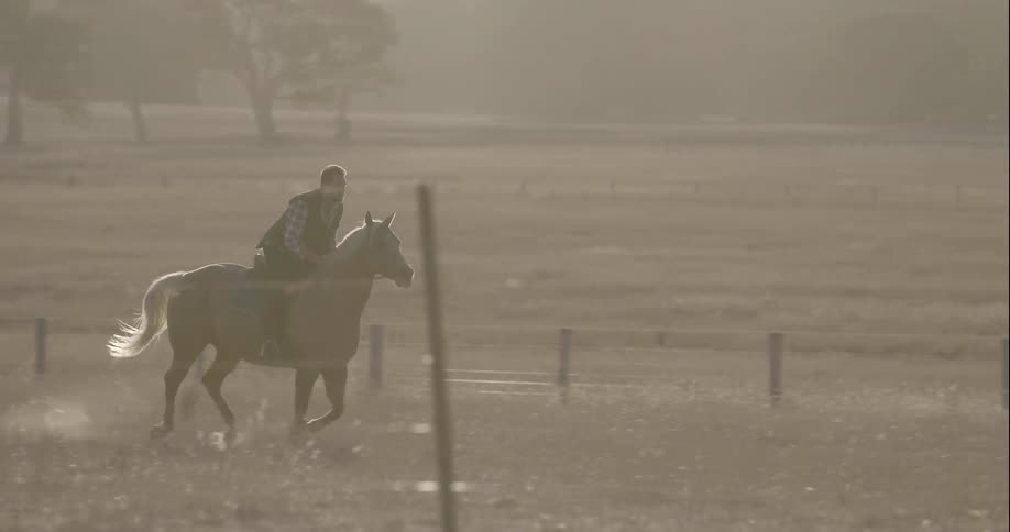 Man riding a galloping horse on sunny grassland