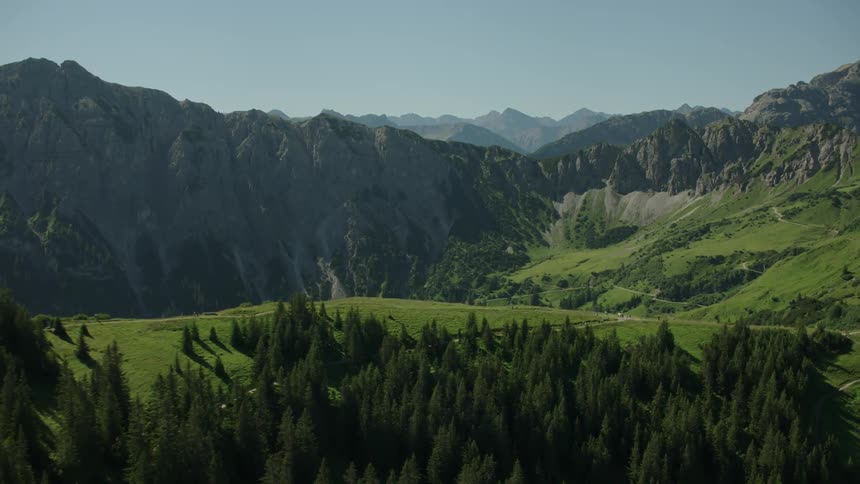 Sporadic woods at the base of a mountain