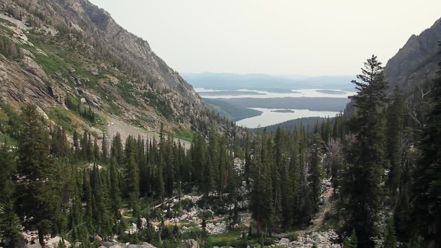 Trees at the base of rocky mountains