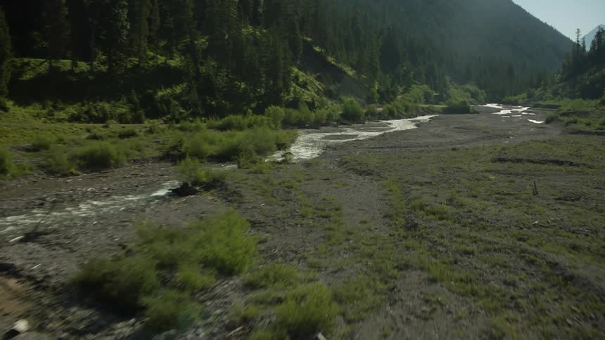 A partially dried up riverbed near a forest