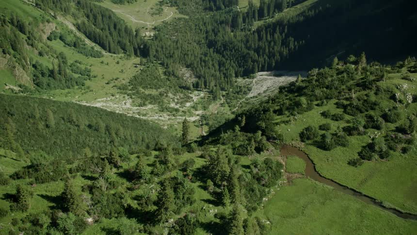 The mountains are high with many trees on top