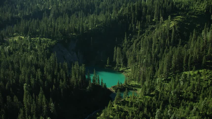The valley is full of hills and tall trees
