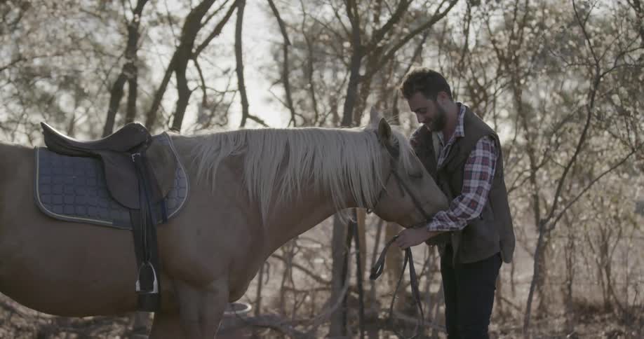 Man pets horse in the woods on a sunny day