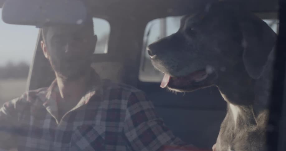 Man and dog sitting in a truck on a sunny day